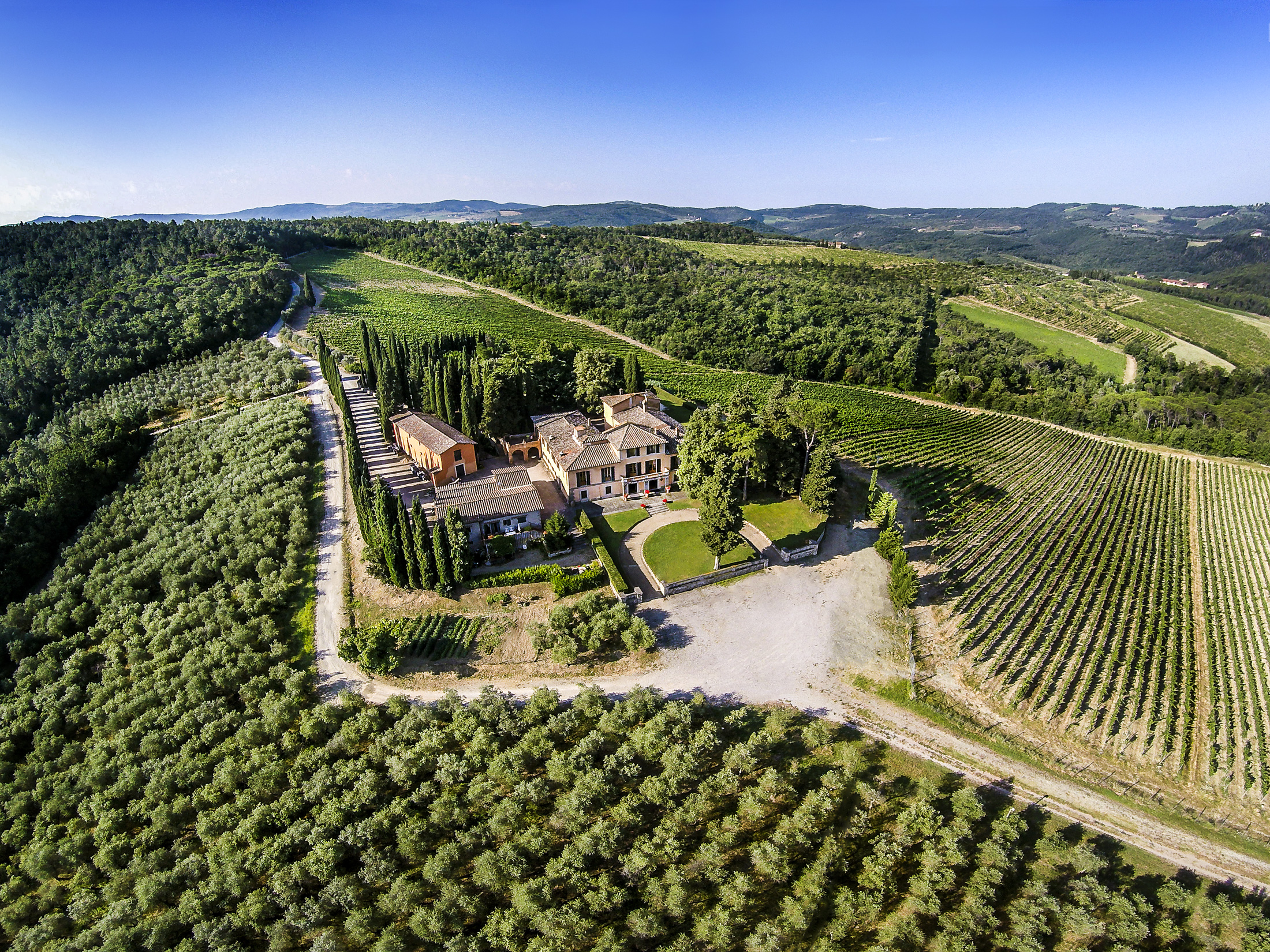 Тоскана юкки. Болгери Тоскана виноградники. Венето виноградники. Bolgheri, Toscana, Italy. Винодельня Tenuta dodici.